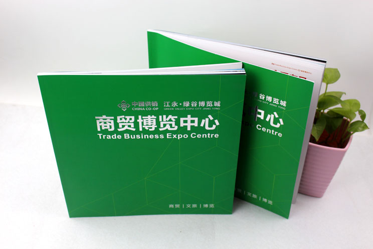 江永商貿(mào)博覽中心樓書畫冊(cè)